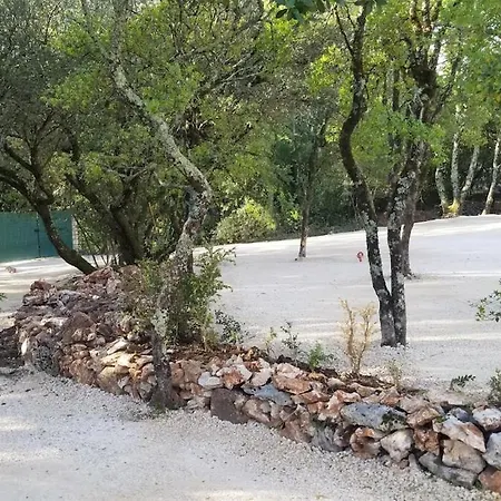 Avec Piscine Sur Terrain Clot Villa