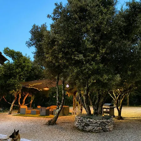 Avec Piscine Sur Terrain Clot Villa *
