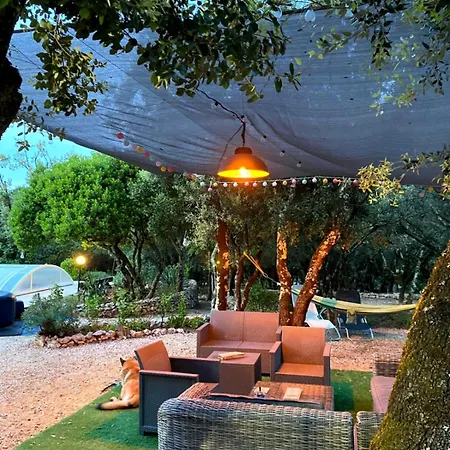 Avec Piscine Sur Terrain Clot